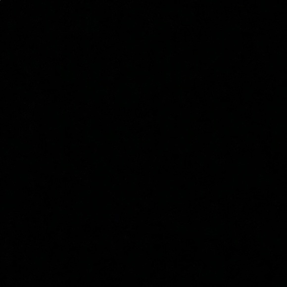 Meet your Posher, Lacey - Picture 1 of 1